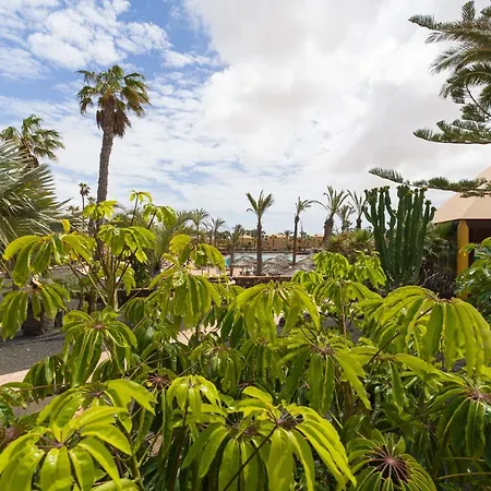 Apartamento Oasis Papagayo Con Piscina En Corralejo Διαμέρισμα